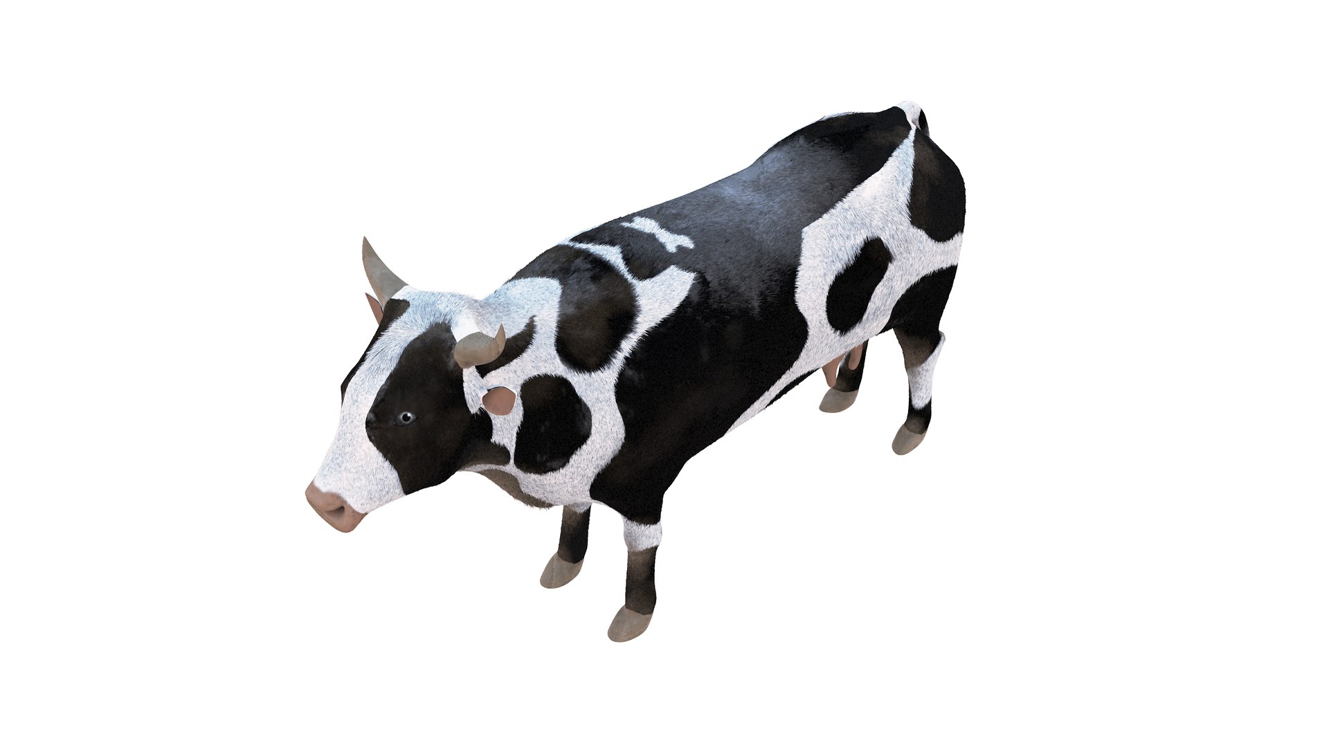 3D Farm Collection 4 model https://p.turbosquid.com/ts-thumb/8p/AfF3lU/rN/cow13/jpg/1660298967/1920x1080/fit_q87/71aaf0bf514c933d86fb4362f501a908b86d635d/cow13.jpg