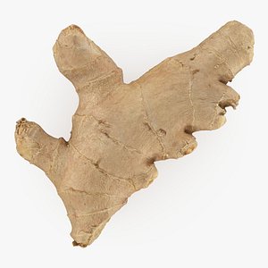 3D model Ginger Root 01