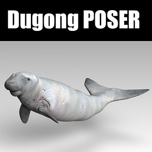 poser dugong model