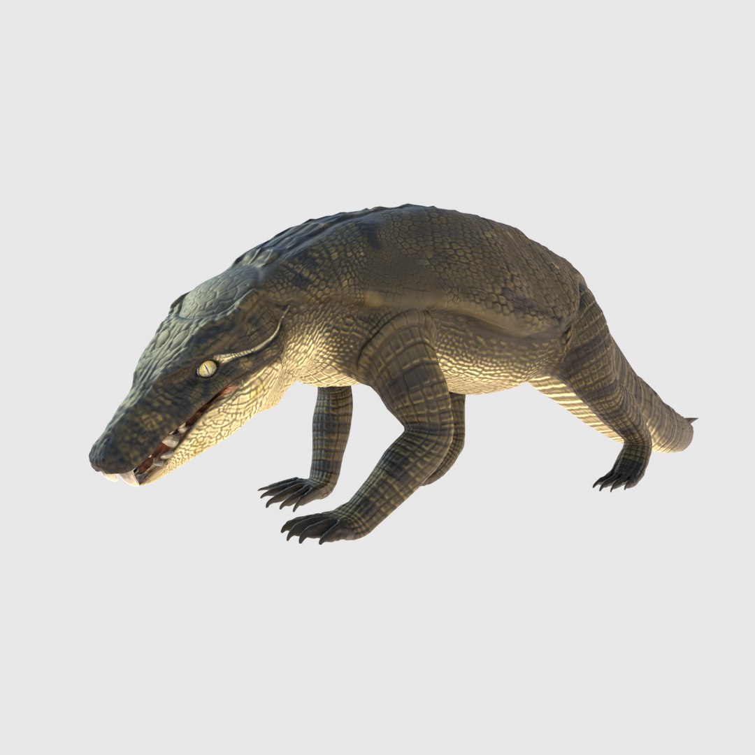 Armadillosuchus 3D model https://p.turbosquid.com/ts-thumb/8p/WR1JiU/jL/armadillosuchuspose001200x1200/png/1625042640/1920x1080/fit_q87/60684b87c019a0991bc2d476c4e41d2f3adb6d01/armadillosuchuspose001200x1200.jpg