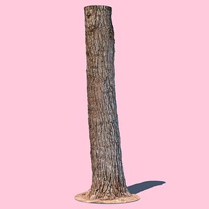 Barky McWood (3D Scan)