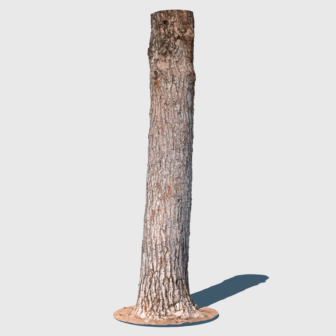 photo scanned 3d obj https://p.turbosquid.com/ts-thumb/8p/YZodwJ/GzUSGM9r/barky_mcwood_high_02_texture/jpg/1497389567/1920x1080/fit_q87/495130fd2cda3470032f6804b3e0032e3e915a7c/barky_mcwood_high_02_texture.jpg