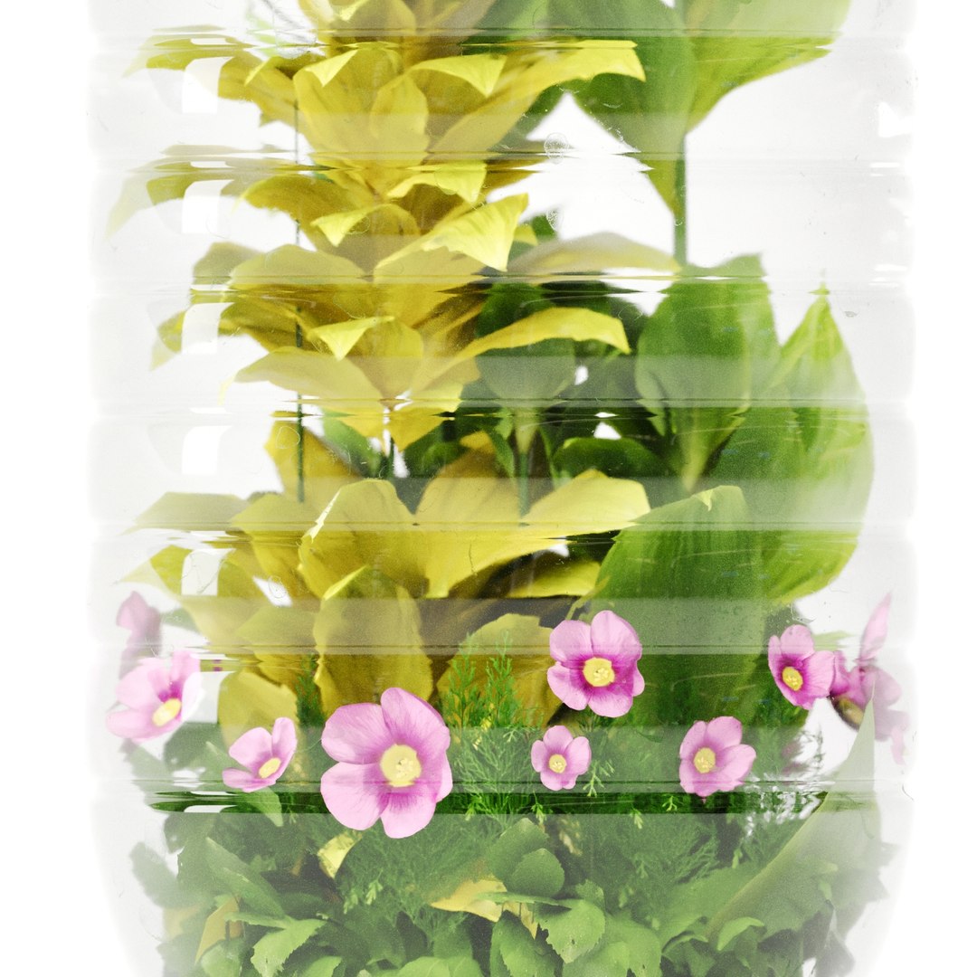 Decorative Indoor Plant Set 03 3D https://p.turbosquid.com/ts-thumb/8p/Z0uKri/0J/preview04/jpg/1719902268/1920x1080/fit_q87/d93efb3fbe84cbfd75ffa93e96a01b6feb2d1406/preview04.jpg