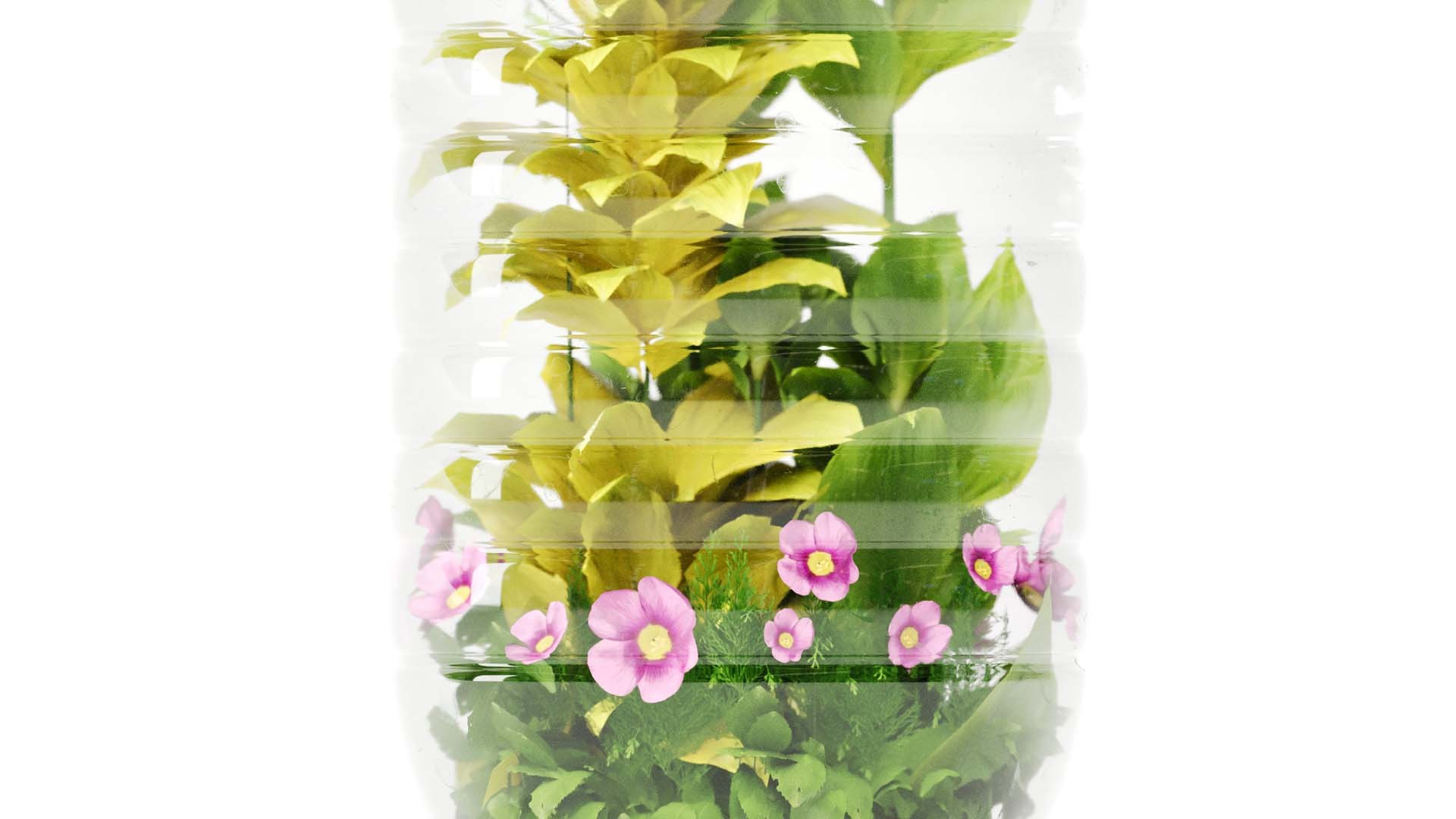 Decorative Indoor Plant Set 03 3D https://p.turbosquid.com/ts-thumb/8p/Z0uKri/8U/s14/jpg/1719902308/1920x1080/fit_q87/5a07716ffb7eccf28760b8df5736a303a675f898/s14.jpg