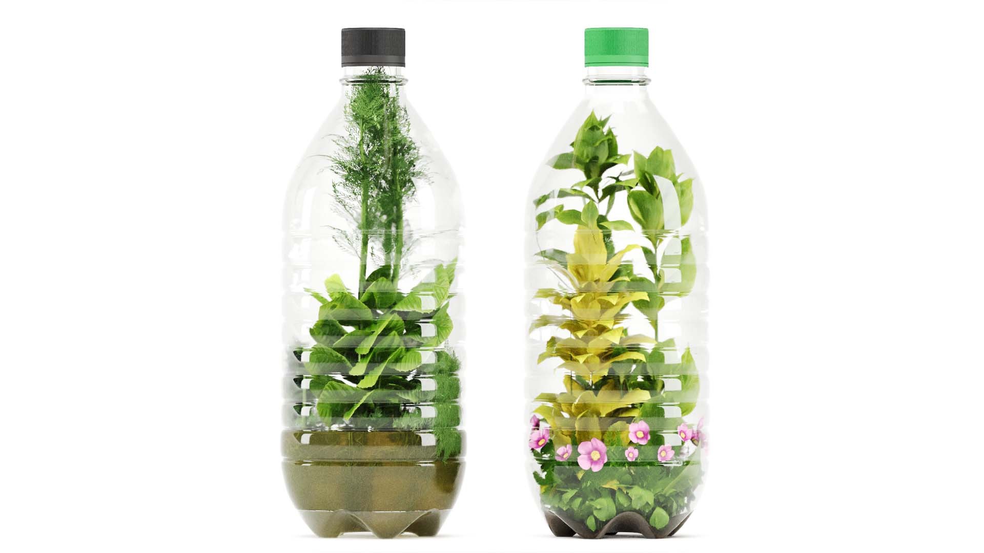 Decorative Indoor Plant Set 03 3D https://p.turbosquid.com/ts-thumb/8p/Z0uKri/DO/s13/jpg/1719902308/1920x1080/fit_q87/c24968acd5476545872030f704f9ea5007b315ea/s13.jpg