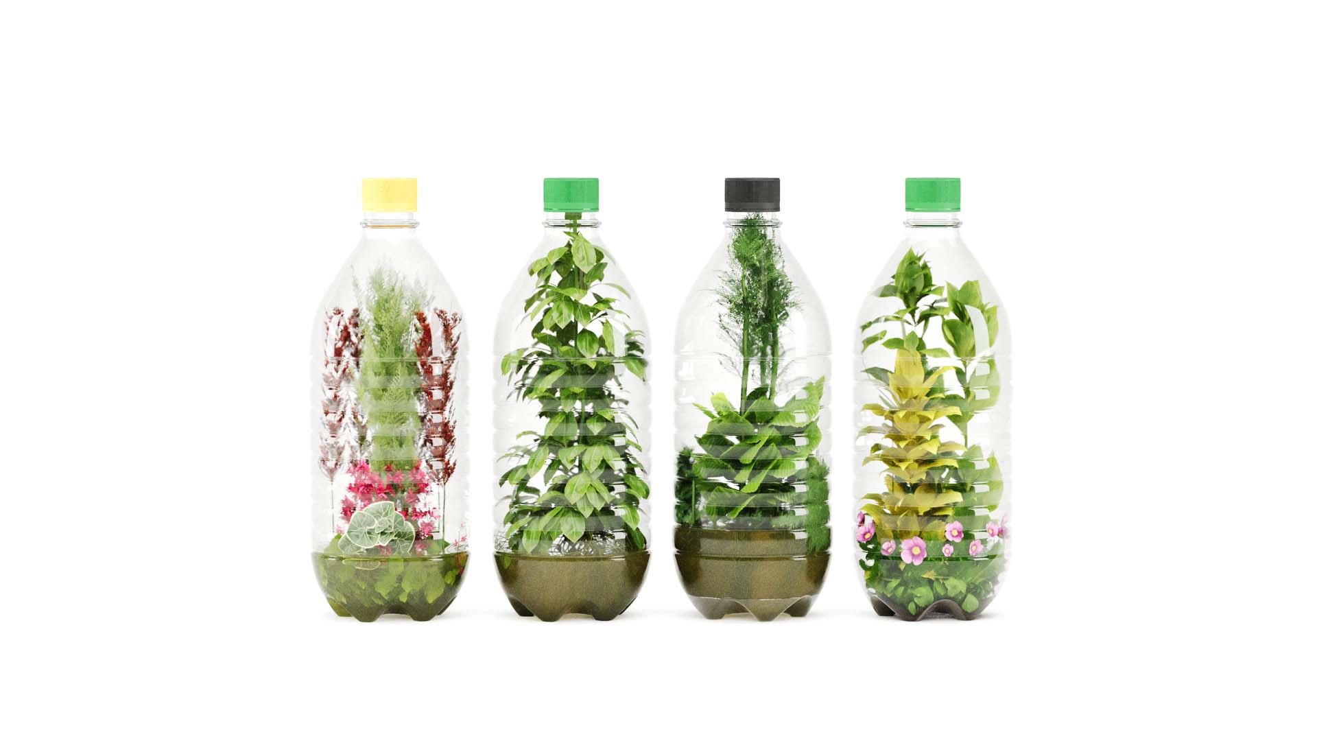 Decorative Indoor Plant Set 03 3D https://p.turbosquid.com/ts-thumb/8p/Z0uKri/Fl/s11/jpg/1719902308/1920x1080/fit_q87/ac4e907e304852584f570c2326ec2ea8c6a02fdc/s11.jpg