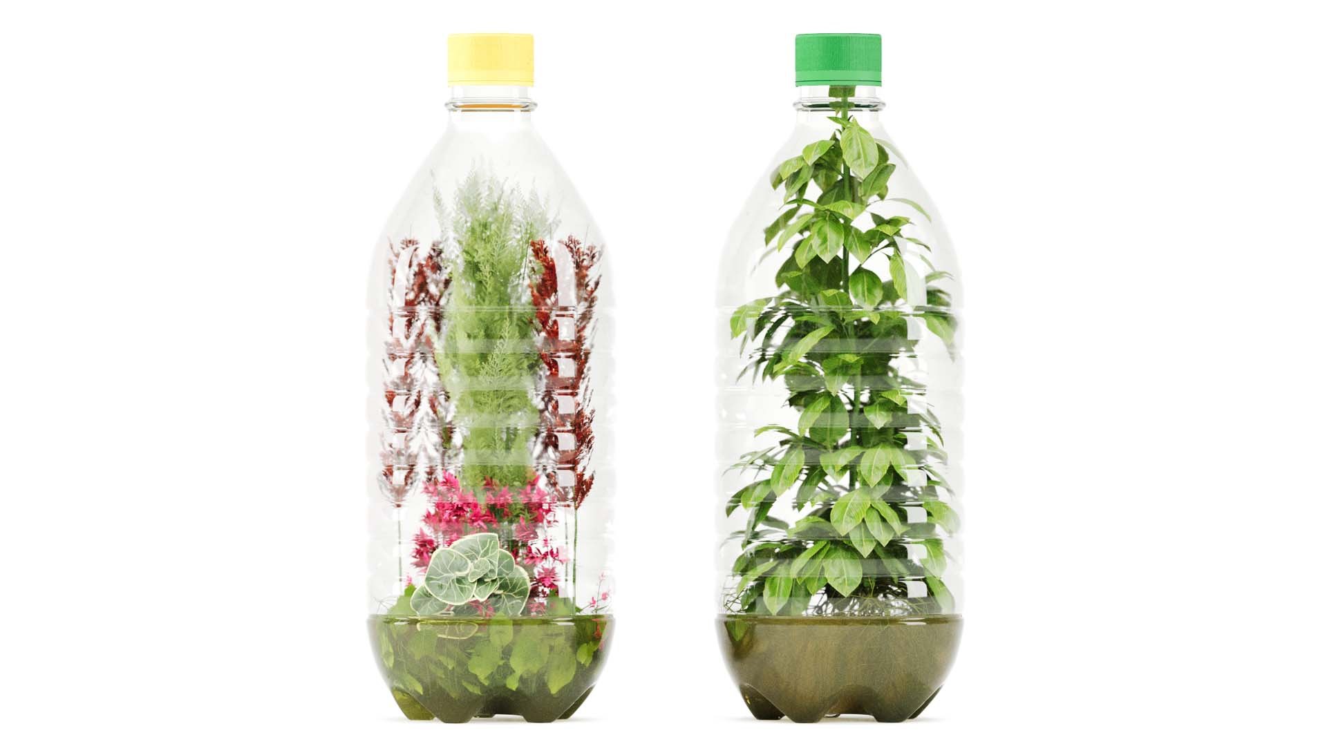 Decorative Indoor Plant Set 03 3D https://p.turbosquid.com/ts-thumb/8p/Z0uKri/Tb/s12/jpg/1719902308/1920x1080/fit_q87/3cfcb52f425eb0a09d6dd88124836a06efef42eb/s12.jpg