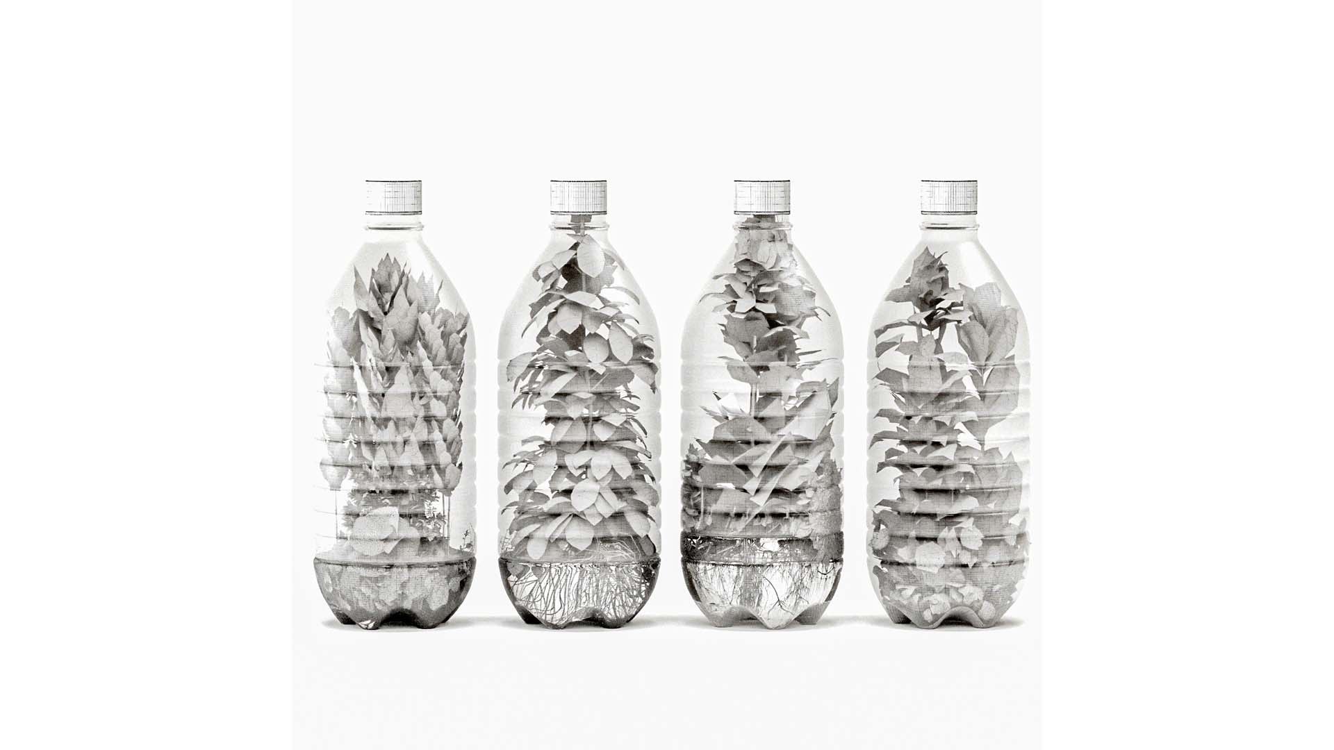 Decorative Indoor Plant Set 03 3D https://p.turbosquid.com/ts-thumb/8p/Z0uKri/ZK/s6/jpg/1719902272/1920x1080/fit_q87/3a73860132ec4fd69604b6c6899777b607e2aaad/s6.jpg