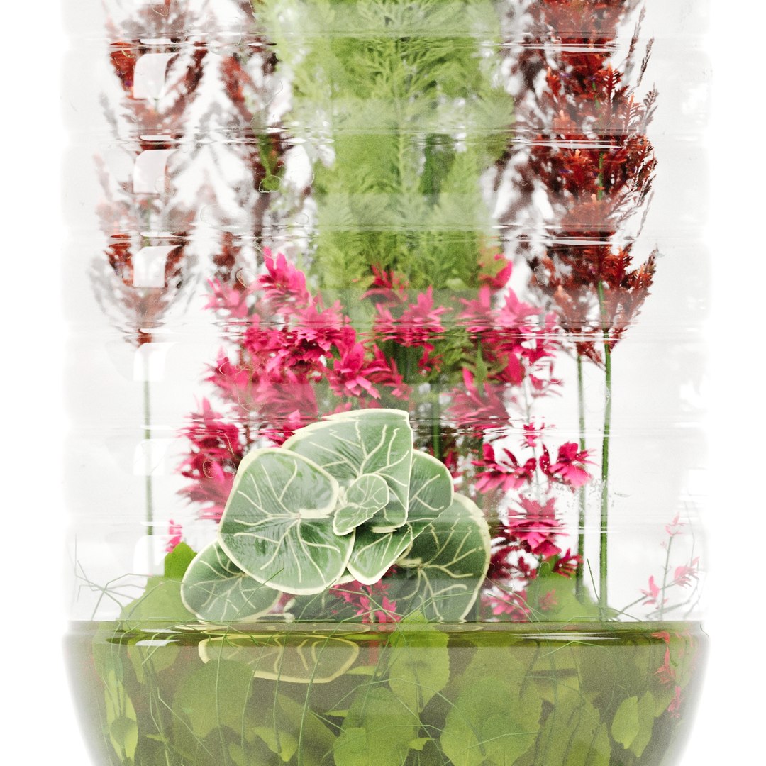 Decorative Indoor Plant Set 03 3D https://p.turbosquid.com/ts-thumb/8p/Z0uKri/mF/preview05/jpg/1719902268/1920x1080/fit_q87/6e577ad626efb24ea115a1edfac7a50f711e9292/preview05.jpg