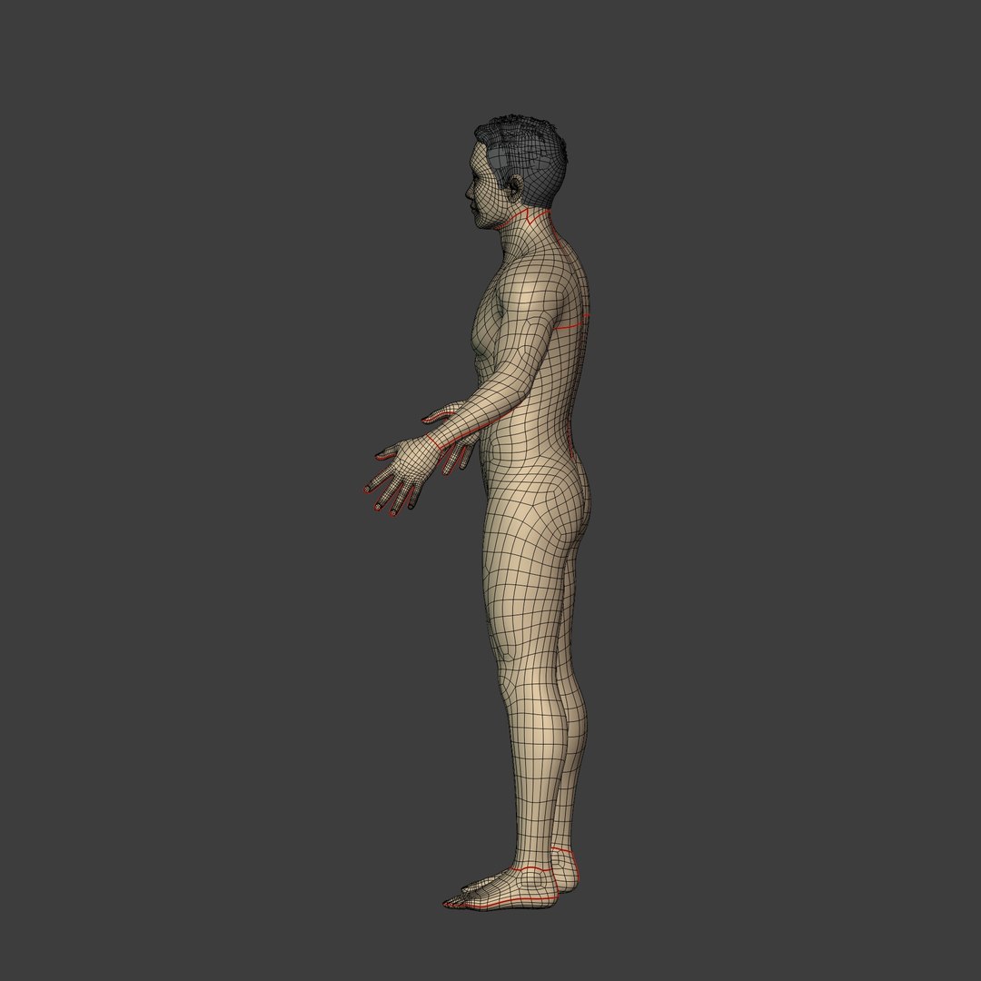 3D High Quality https://p.turbosquid.com/ts-thumb/8p/ZtWEmr/0g/i14/jpg/1791301451/1920x1080/fit_q87/a95b6bc071a7e045b32be3244431c6cf03bdcc51/i14.jpg