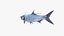 Tarpons Set
