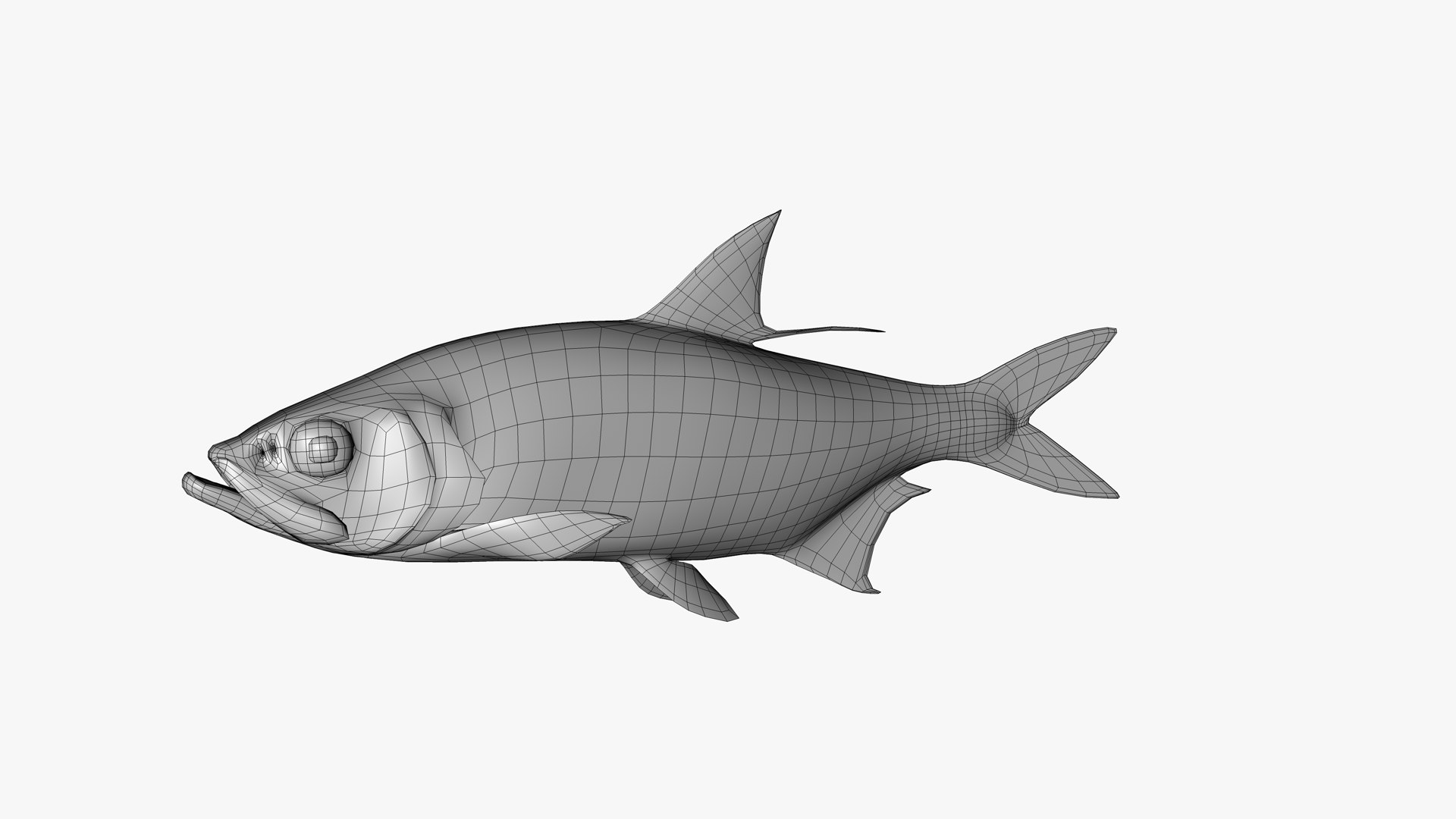 Tarpons Set 3D model https://p.turbosquid.com/ts-thumb/8p/cglnuF/Wy/indopacific_tarpon_megalops_cyprinoides_fish_3d_model_by_andreas_piel_wireframe_01/png/1770983727/1920x1080/fit_q87/c5d3540a17cc43972048b29cf313bba5fbdc5184/indopacific_tarpon_megalops_cyprinoides_fish_3d_model_by_andreas_piel_wireframe_01.jpg