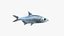Tarpons Set
