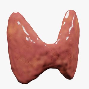 Thyroid gland