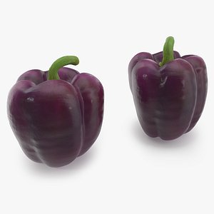 3D model Bell Pepper Purple Beauty
