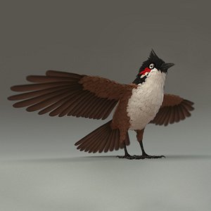 3D Bird bird sparrows binding model