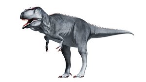3D Giganotosaurus model