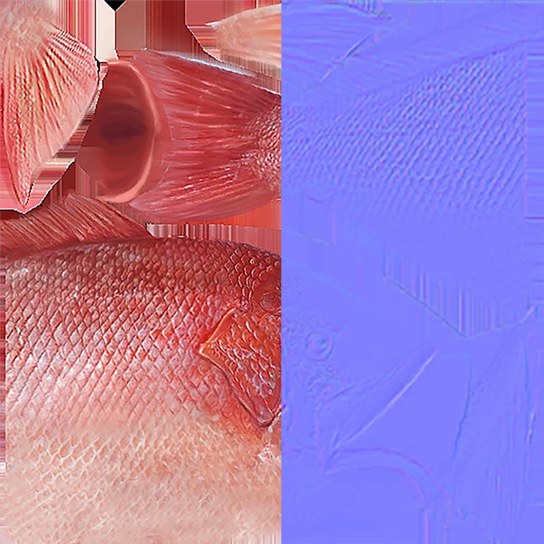 Snapper 3D Model - TurboSquid 2119713
