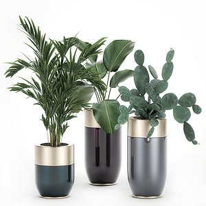 plants interior houseplants luxury 3D model