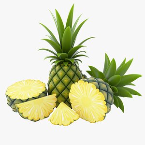 Cartoon Pineapple Set