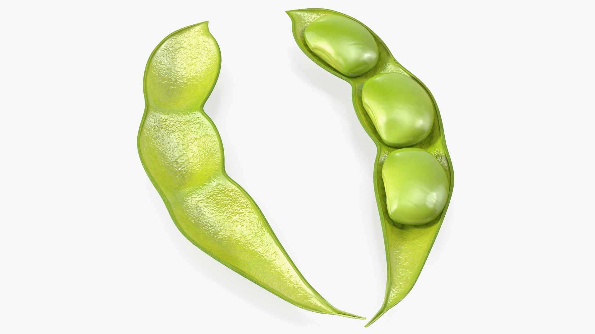 Green Soybean Pod Open 3D model preview