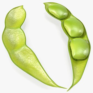 Green Soybean Pod Open model
