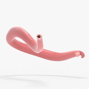 3D hookworm worm