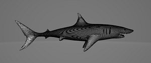 mako shark 3D