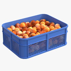 Apricot Fruit Plastic Crate model