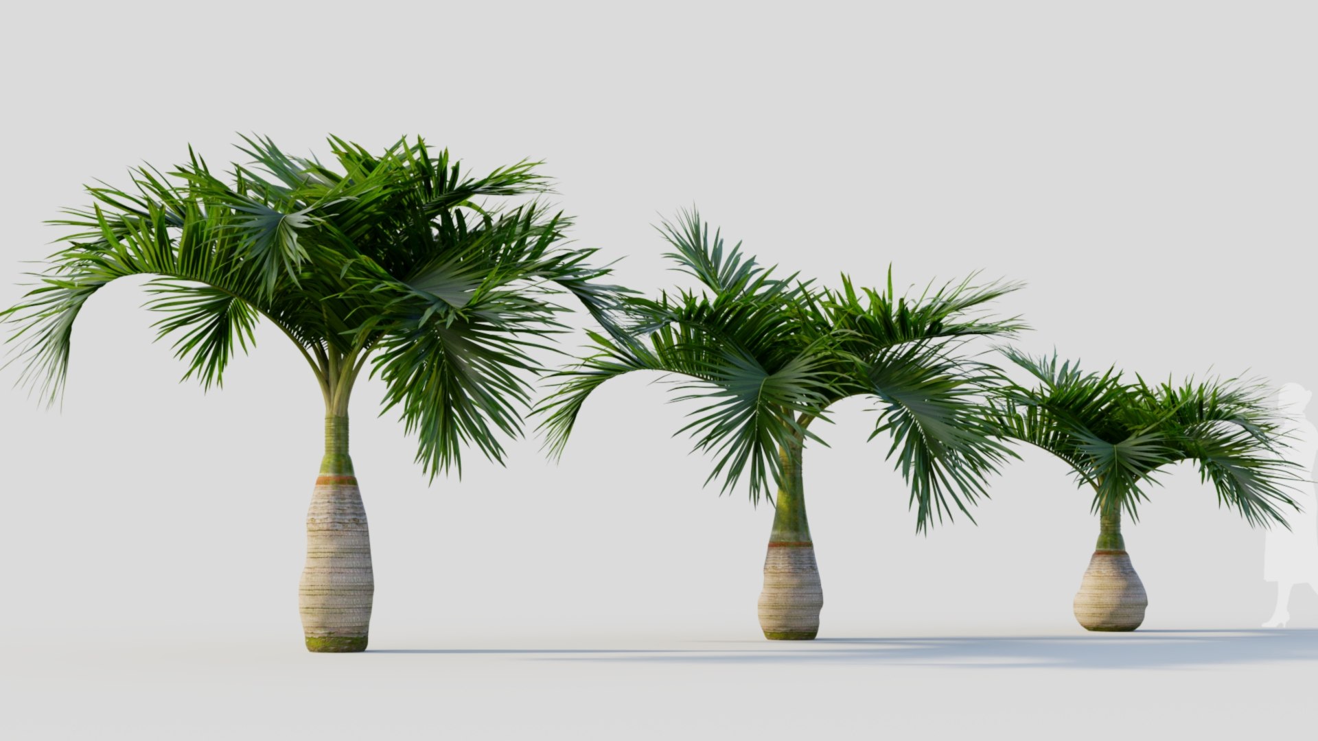 3D model Hyophorbe lagenicaulis a https://p.turbosquid.com/ts-thumb/8q/L9Jvso/GH/hyophorbelagenicaulisa_6/jpg/1713688081/1920x1080/fit_q87/bae4cefa1764de70dd29c53a99a05dcc8839dcbd/hyophorbelagenicaulisa_6.jpg