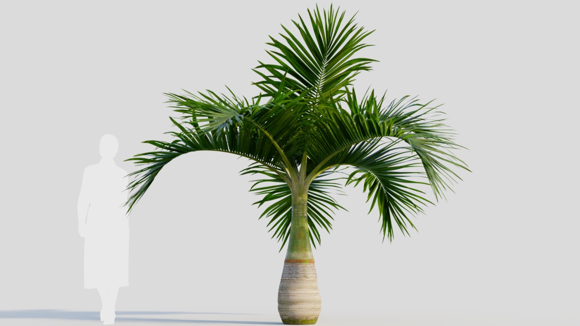 3D model Hyophorbe lagenicaulis a https://p.turbosquid.com/ts-thumb/8q/L9Jvso/hp/hyophorbelagenicaulisa_8/jpg/1713688089/1920x1080/fit_q87/4321613c13c2d4c7d660ca144a79b21796aad77d/hyophorbelagenicaulisa_8.jpg