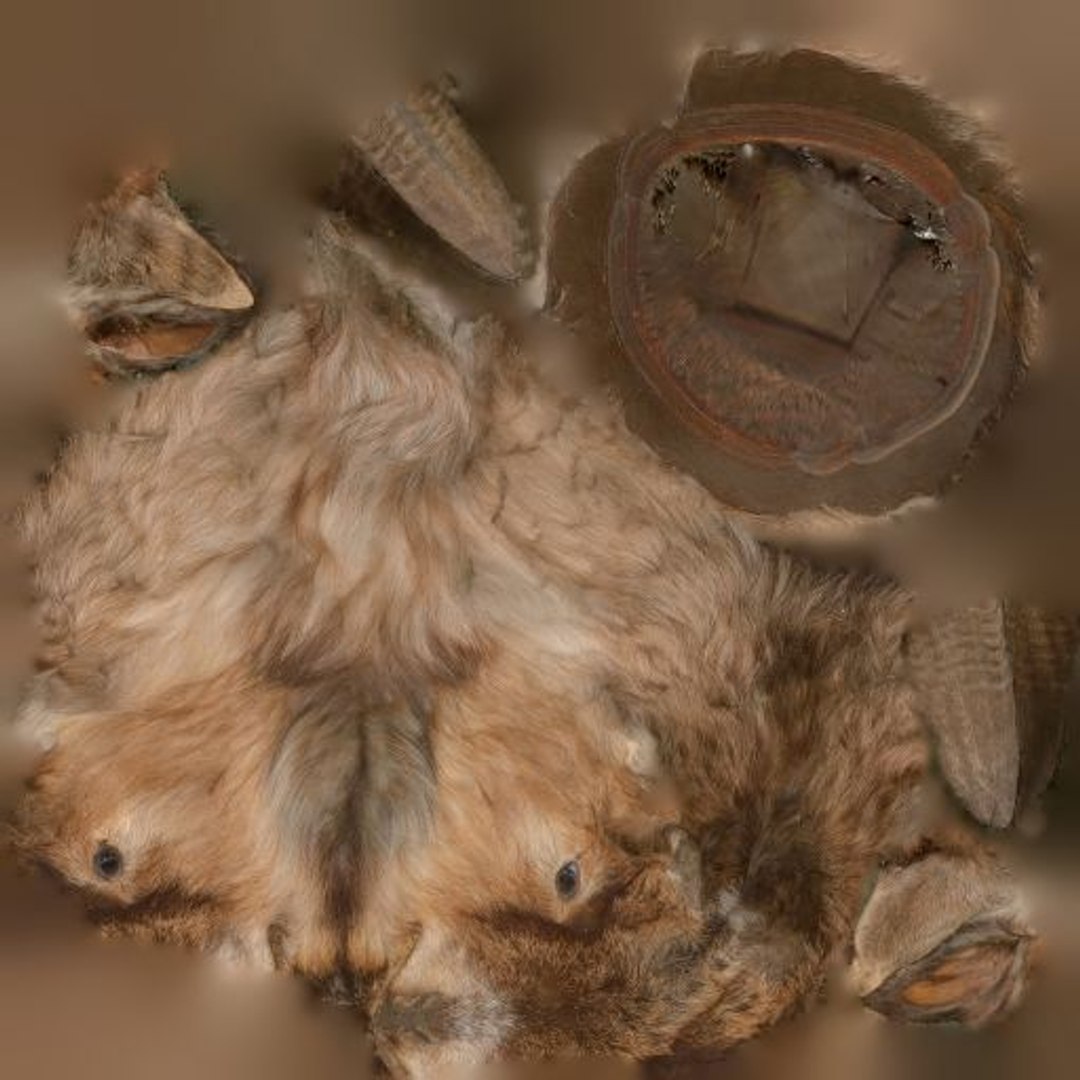 Animal digital photogrammetry 3D model - TurboSquid 1162982