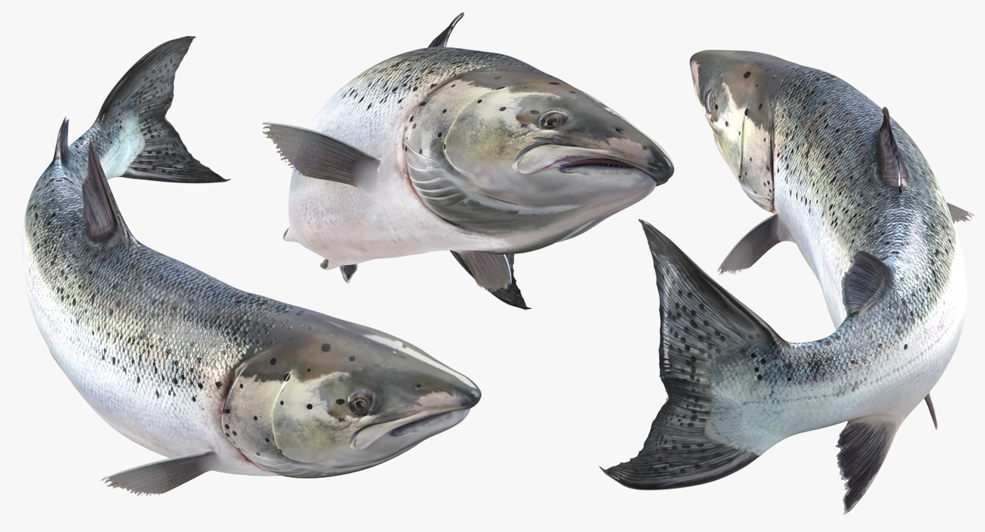 Can of Surstromming Fermented Fish 850g 3D model - TurboSquid 2152158