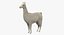 White Llama