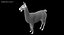 White Llama