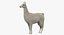 White Llama