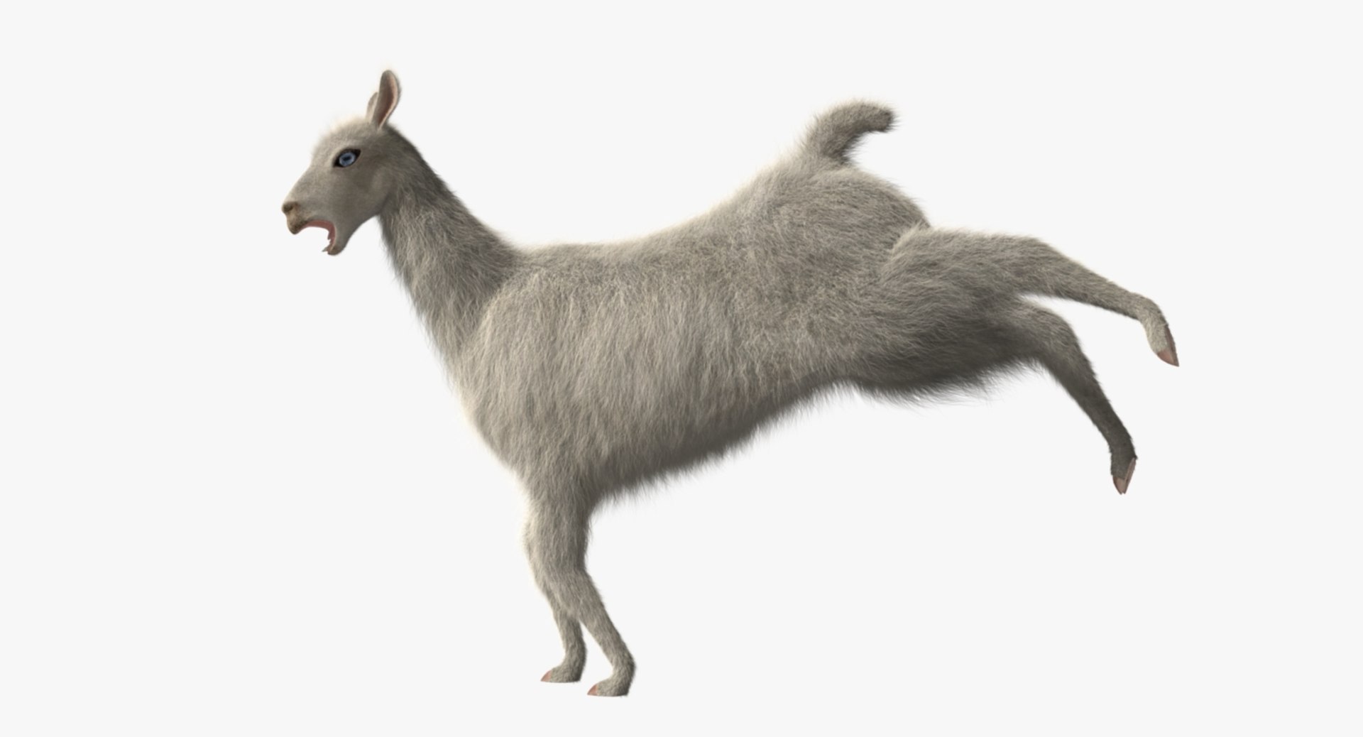 white llama 3d obj https://p.turbosquid.com/ts-thumb/8q/WCEfT5/wZjIcnHo/rp05/jpg/1468916914/1920x1080/fit_q87/f7d88eda3dfa2ef86c7639c07087a6a117819297/rp05.jpg