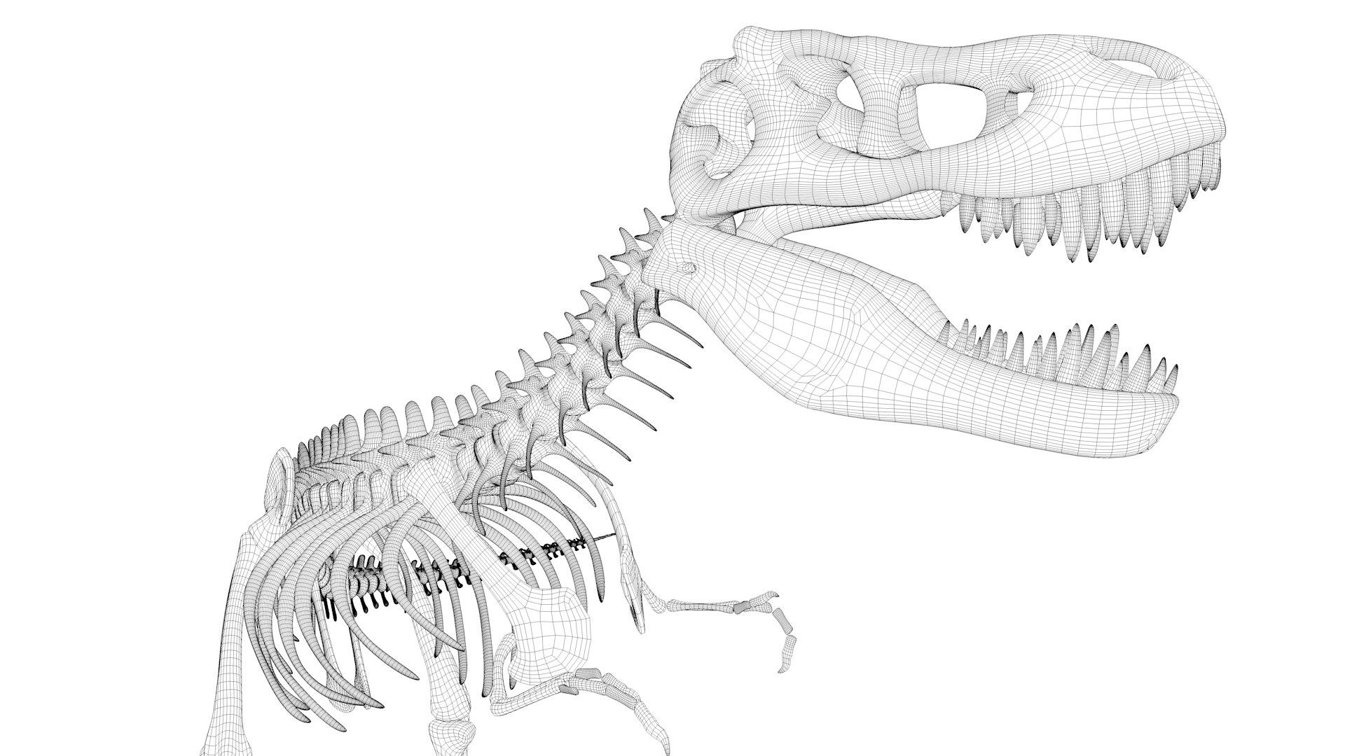 T-rex Skeleton 3D Model - TurboSquid 1432743