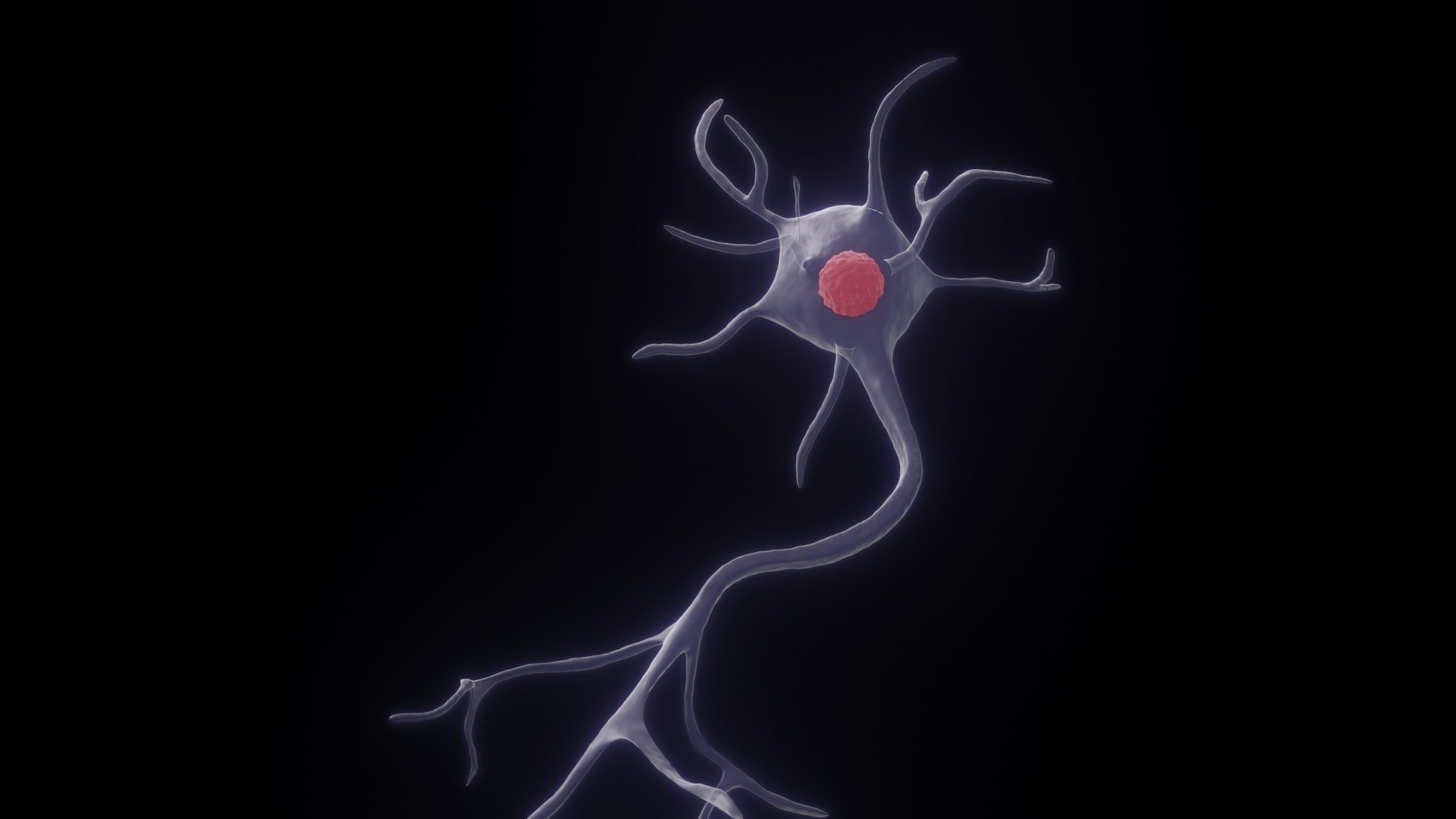 3D Multipolar Neuron model https://p.turbosquid.com/ts-thumb/8q/ZecJld/DS/multipolarneuron40001/jpg/1676484870/1920x1080/fit_q87/2142f5611d2743c9d70476267b5206370d02237c/multipolarneuron40001.jpg