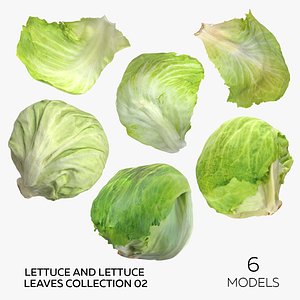 3D Lettuce and Lettuce Leaves Collection 02 - 6 models model
