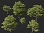 Castanea Sativa Sweet Chestnut High-Loly Low-Poly