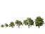 Castanea Sativa Sweet Chestnut High-Loly Low-Poly
