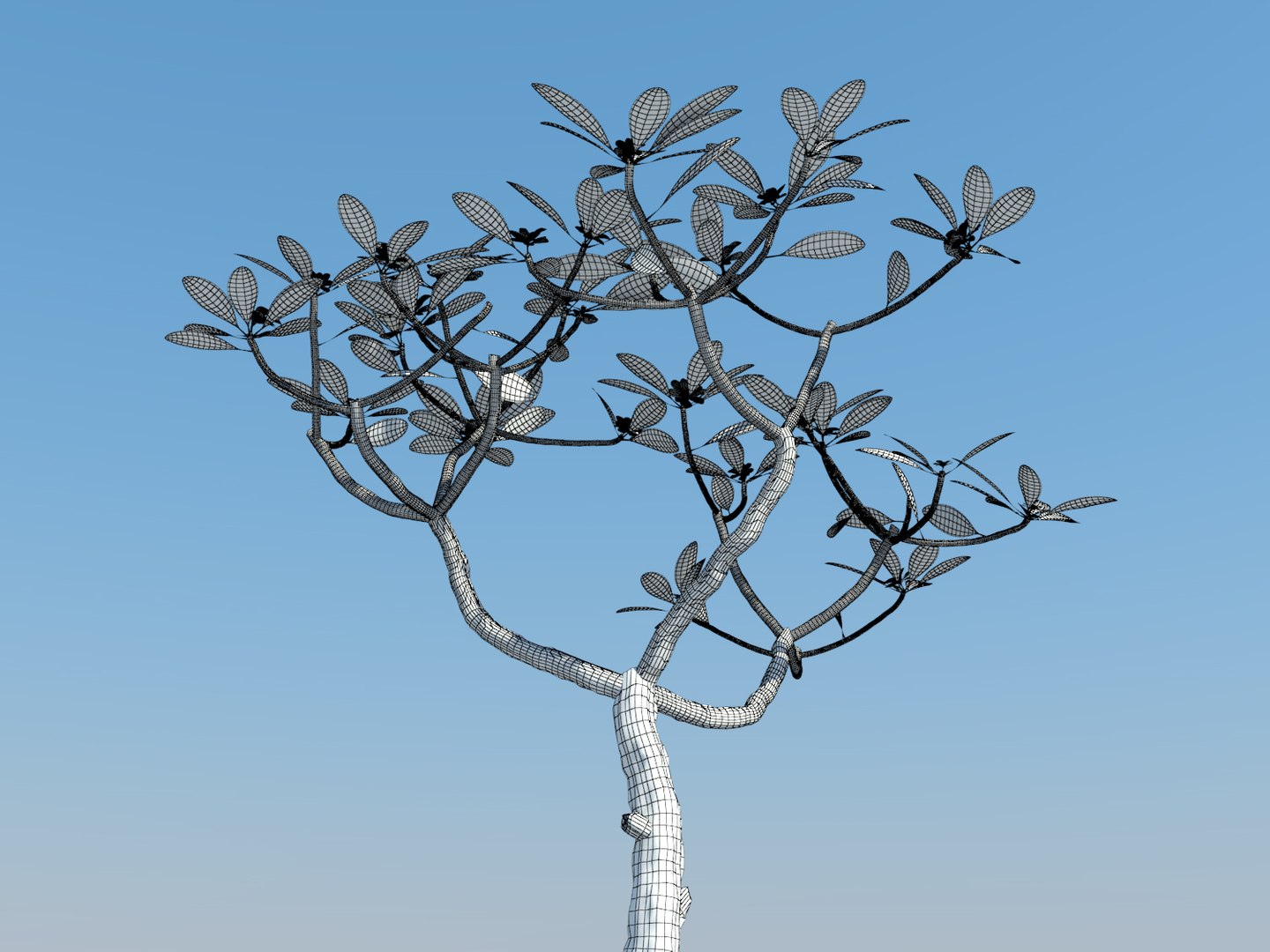 tropical tree plumeria 3d max https://p.turbosquid.com/ts-thumb/8q/waYa3U/7brJbRO7/6/jpg/1463970986/1920x1080/fit_q87/b68929926e414402cee13f86eb80e72649e0dfd1/6.jpg