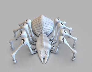 spider print
