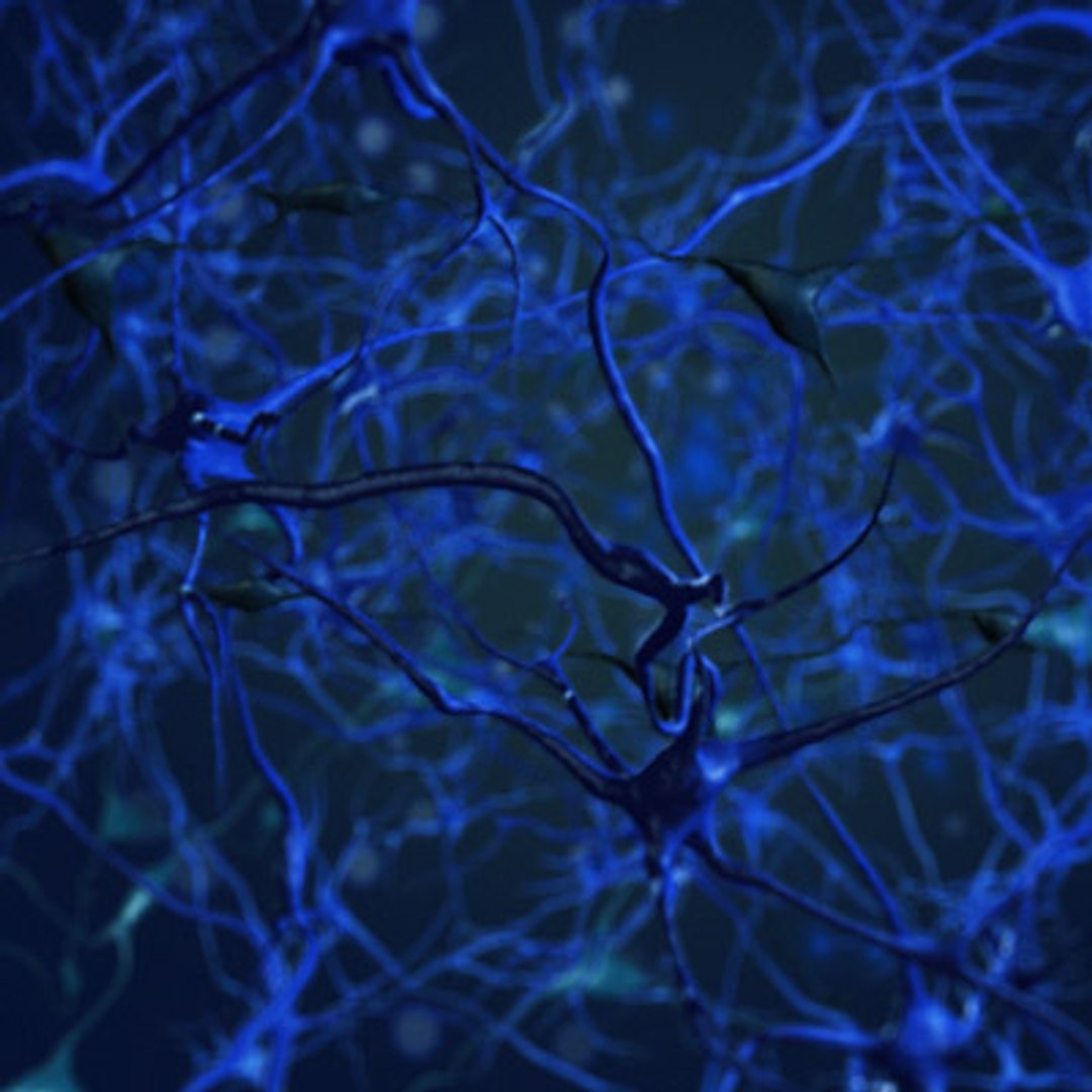 Neurons Animation 3d Model