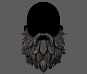 Beard V19