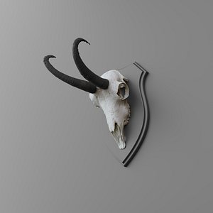 Antler Chamois