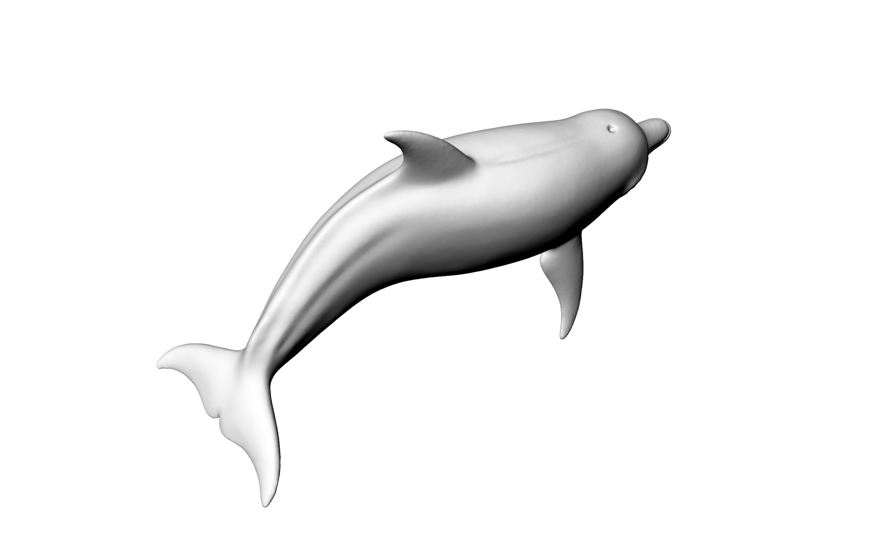 3D dolphin sculpture animal model https://p.turbosquid.com/ts-thumb/8r/Lfe94o/9UW9EvyN/4/jpg/1599578648/1920x1080/fit_q87/763df8b2b3b76901eb22c5a3fa2f7bc711b87bbb/4.jpg