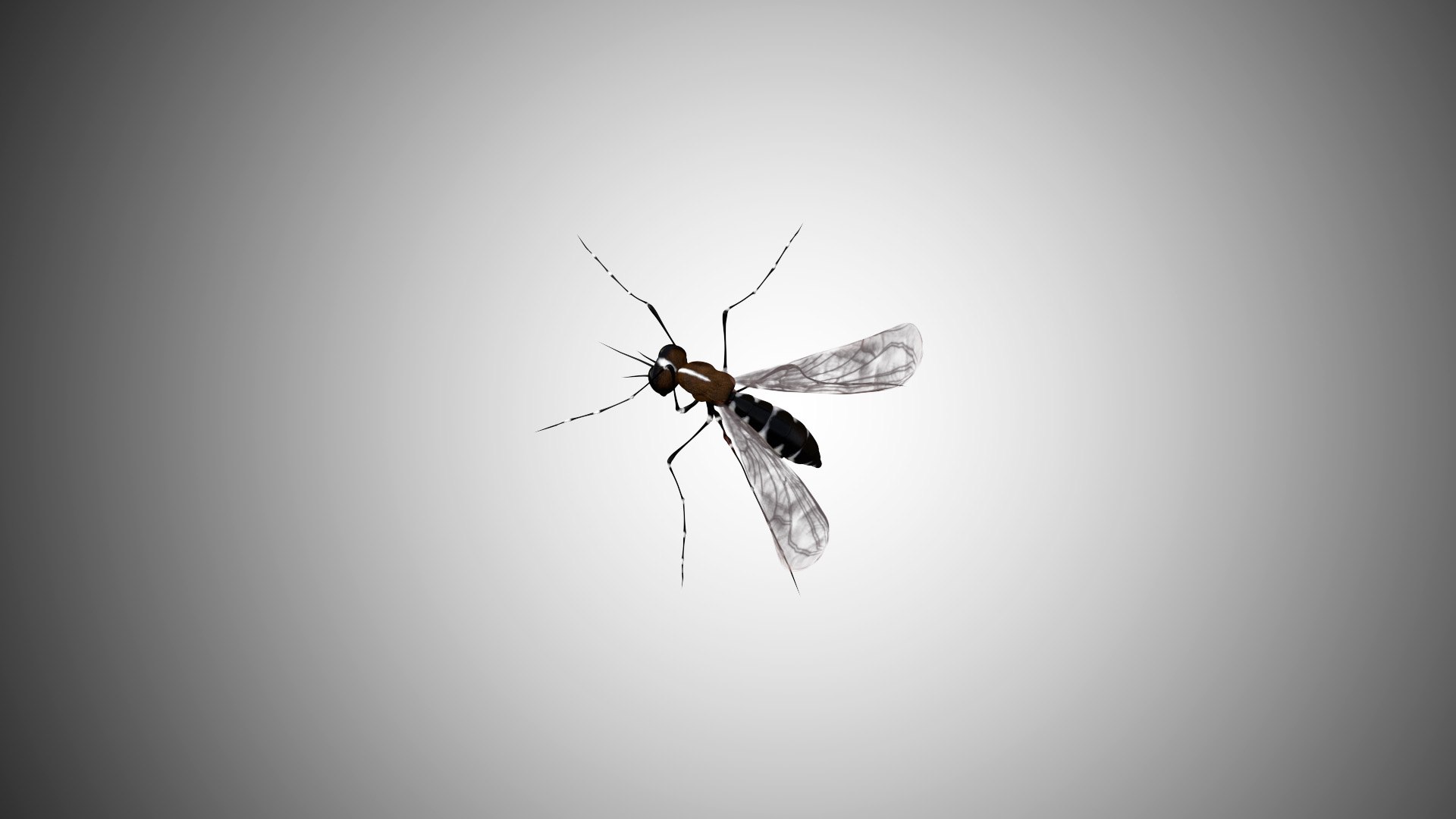 3D rigged https://p.turbosquid.com/ts-thumb/8r/Mmv5fe/CzKvpqE8/mosquito_00/jpg/1596786349/1920x1080/fit_q87/31dbc864a7721acbd00d27287c0eaf4b4faa39bb/mosquito_00.jpg