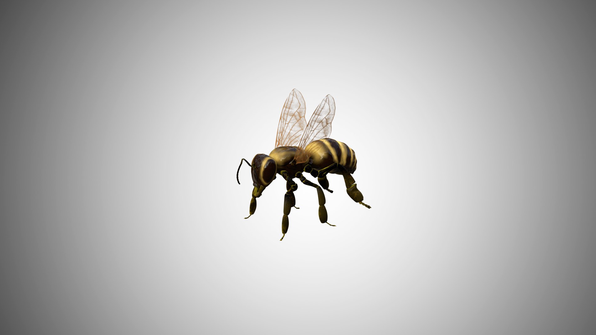 3D rigged https://p.turbosquid.com/ts-thumb/8r/Mmv5fe/OFxk0Hwv/bee01/jpg/1596786150/1920x1080/fit_q87/b9af0e38df44e3779cc5e12230ac1de415751537/bee01.jpg